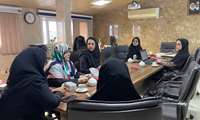نشست تخصصی بررسی کارانه و ارتقای خدمات مامایی در بیمارستان الزهرا (س)