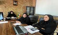 برگزاری جلسه وبیناری با محوریت موضوعات مرتبط با حوزه فناوری اطلاعات 