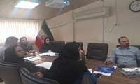 اولین نشست کارگروه تخصصی شناسایی و ثبت بیماری های ستاد اجرائی بسیج ملی کنترل فشار خون بالا دانشگاه