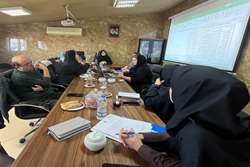 بررسی مشکلات مرتبط با فرایند نسخه نویسی و نسخه پیچی الکترونیک بر بستر HIS و مرور دستورالعمل کارانه پرستاری 