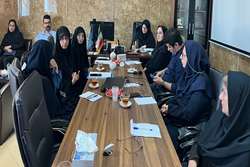 برگزاری جلسه رسیدگی الکترونیک به اسناد بیمه های پایه با حضور اعضاء کارگروه مربوطه