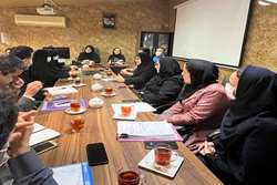 برگزاری جلسه رسیدگی الکترونیک به اسناد بیمه های پایه با حضور اعضاء کارگروه و مدعوین 