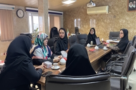 نشست تخصصی بررسی کارانه و ارتقای خدمات مامایی در بیمارستان الزهرا (س)