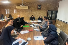 برگزاری جلسه رسیدگی الکترونیک با حضور اعضاء کارگروه 