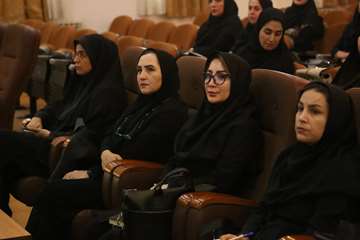 برگزاری نشست تخصصی آشنایی با مبانی SEO و تولید محتوا 