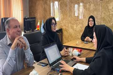 برنامه استراتژیک