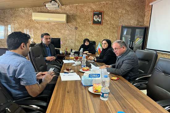 بررسی مشکلات نرم افزار اتوماسیون اداری 