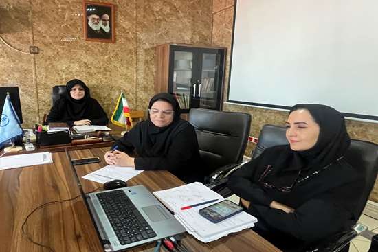 برگزاری جلسه وبیناری با محوریت موضوعات مرتبط با حوزه فناوری اطلاعات  